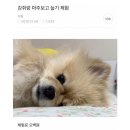 우리 처음부터 다시 시작하자