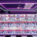 TOP 인형뽑기 이미지