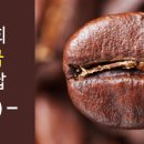 바리스타 2급(토) 이미지