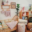 모던펫코리아 이미지