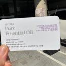 도테라아로마라운지 이미지
