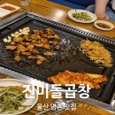 울산 북구 맛집 진미돌곱창 솔직 방문기 (곱창+전골 후기)