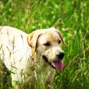 우성동물병원 이미지