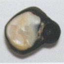 진주 Daum카페