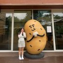 7번가피자춘천점 | 강원도 2박3일 여행 | 춘천/홍천 맛집, 카페, 가볼만한곳 추천