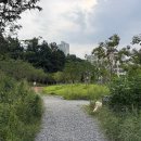 26.8.28 (금) 붓들재로 학의천 안양천에서 망해암 삼막사 업힐 이미지