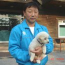 우리카포스 이미지