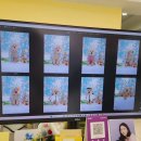 멍지중지 | [길고 자세한 후기] 최택, 울산 플러피스튜디오에서 사진 촬영 하고 옴