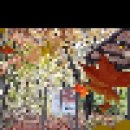 2019.11.16(토): (안산~백련산)'초록숲길'+북한산둘레길 '옛성길'+'탕춘대성곽길' 이미지