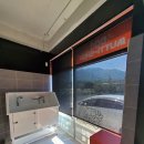 도그뮤티샵 이미지