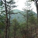 곡성-250 이미지