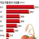 흥농종묘 이미지