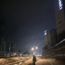 땡일리 애견 유치원 | 시흥애견호텔 댕봄시흥점 후기! 내부사진~ 24시간상주호텔 연중무휴 믿고 맡길수있는~