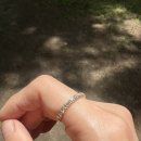 젬스톤.젬 | 아이러브젬스톤 피쉬테일 이터니티링 사용 후기
