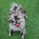 곤지암 동물병원 이미지