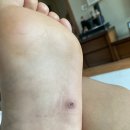 이기웅정형외과의원 이미지