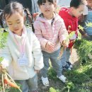 구암3농장 이미지