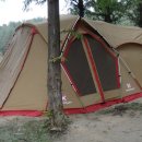 도로시팜 이미지