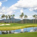 사파이어 골프 이미지