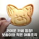 여우와늑대 | 팝업스토어! 귀여운 여우 보송이 &amp; 늑대 타로 팝업 &lt;보송이와 작은 여름조각&gt; 카페 콜라보 정보 및 후기