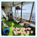 고양이 놀이터로 변신한 20년 된 구축 아파트 베란다 구경 오세요!