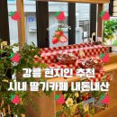 강릉 시내 베리베리딸기ㅣ딸기농장에서 운영하는 디저트카페 빙수 내돈내산