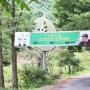 동강솔펜션 | 영월 캠핑장 뜨란솔에서 캠핑퍼스트 크리에이터 배우기!
