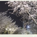 한양대기숙사(행복관) 이미지