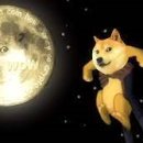 도지(DOGE) 이미지