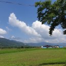 덕담골유황오리 이미지