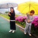 봄비어린이공원 이미지