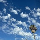 Dear Wonho Its a beautiful day out 🤗 이미지