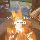 오로라풀펜션 이미지