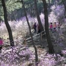 충청도양반길(3코스) 이미지