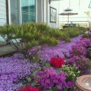 수림 농장 이미지