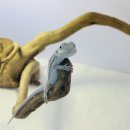 크레리