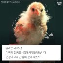 우리집치킨 - 미추홀구 인주대로291번길 13 | 우리집치킨