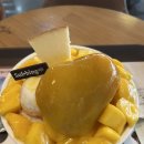 샵름 이미지