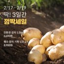 세일메가마트