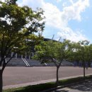 바보디자인거리 이미지