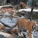 나라와우리 이미지