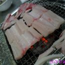 바다장어산꼼장어 이미지