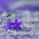 금밭