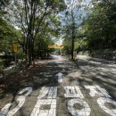 금산산림문화타운캠핑장 | 금산산림문화타운(남이자연휴양림) 제 3캠핑장 다녀왔어요🫶