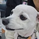 이토리