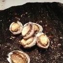 호텔아리아 이미지