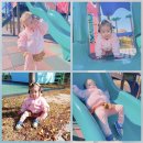 신백체육공원 이미지