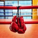 복싱 이미지