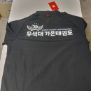 우석대 엘리트 태권도 이미지