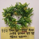 브라운 돈까스 진도점 이미지